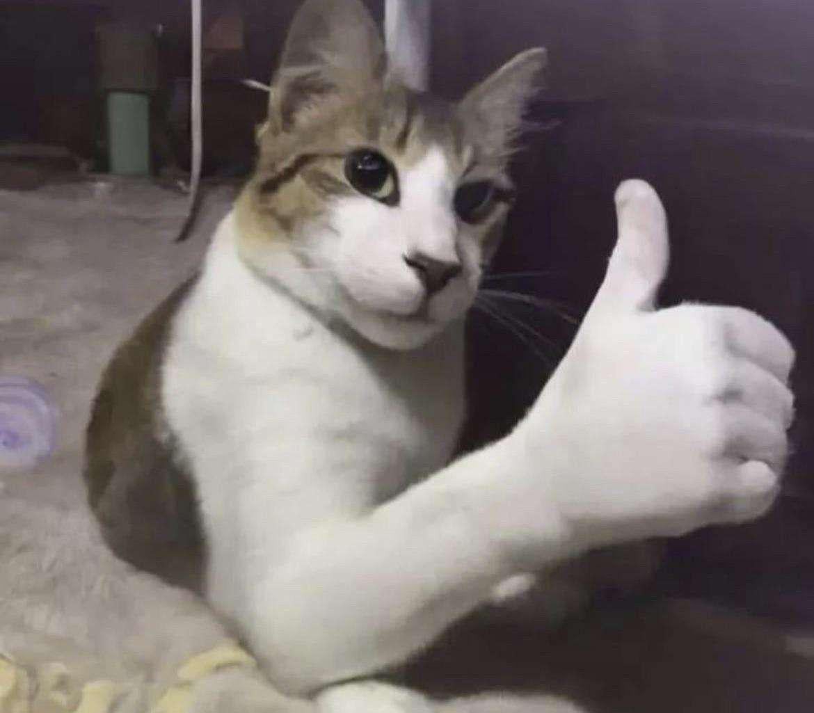 Pham Jolie Profile Picture