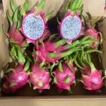 Duong Aimee Profile Picture