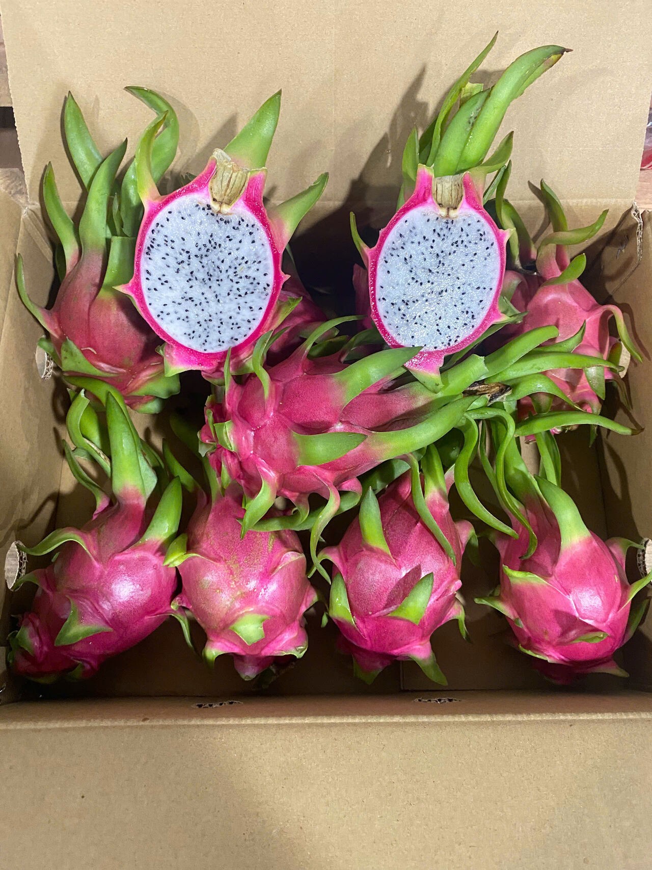 Duong Aimee Profile Picture